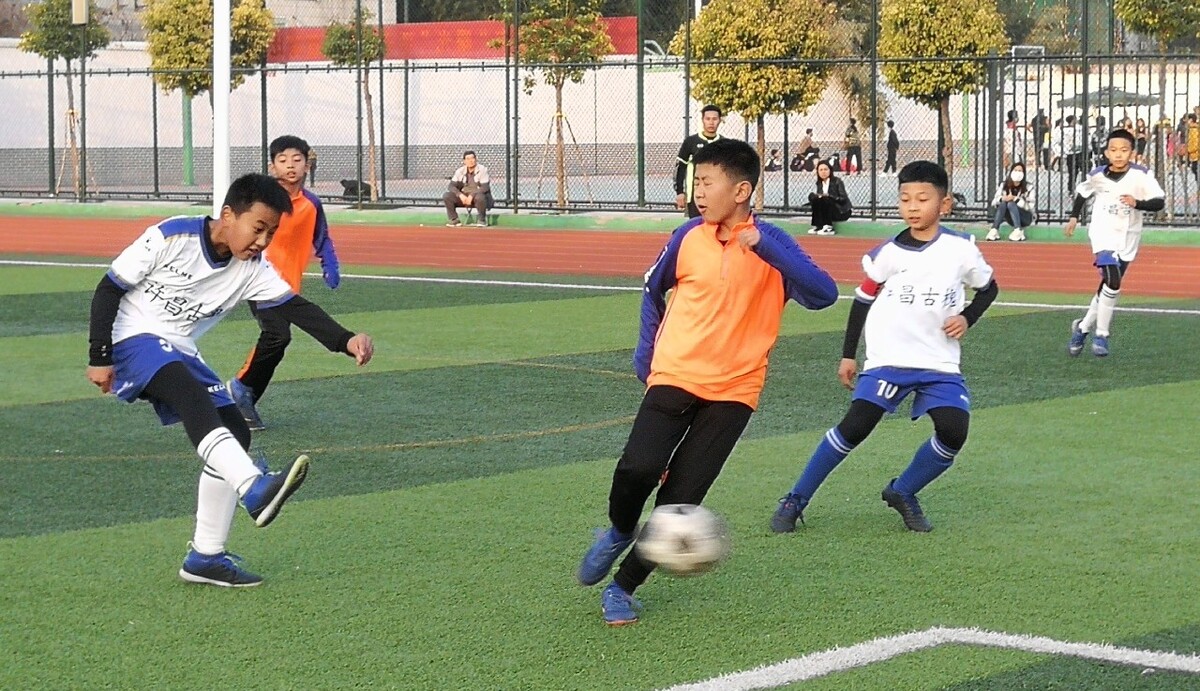 上判断力也 上判断力也